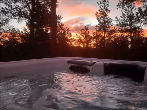 Other - 13892 Douglas Ranch Dr, Pine, CO 80470 photo 8 of 20