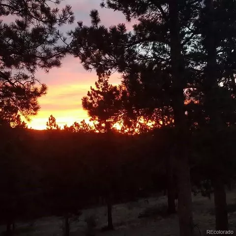 Other - 13892 Douglas Ranch Dr, Pine, CO 80470 photo 19 of 20