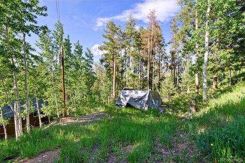 19151 Copper Spur, Conifer, CO 80433 photo 32