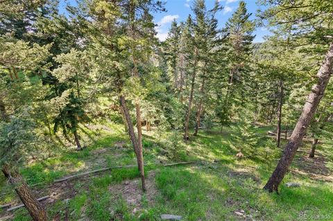19151 Copper Spur, Conifer, CO 80433 photo 33