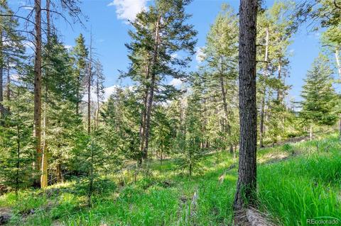 19151 Copper Spur, Conifer, CO 80433 photo 34