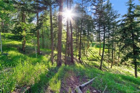 19151 Copper Spur, Conifer, CO 80433 photo 29