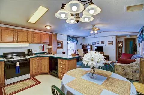 1565 E St, Golden, CO 80401