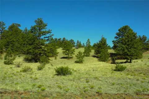 Hill Road, Hartsel, CO 80449
