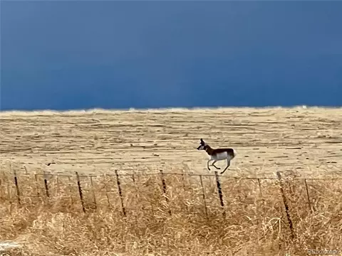 34000 Myers Rd, Yoder, CO 80864 photo 36
