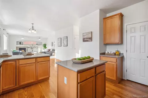 17048 E Trailmaster Dr, Parker, CO 80134 photo 15