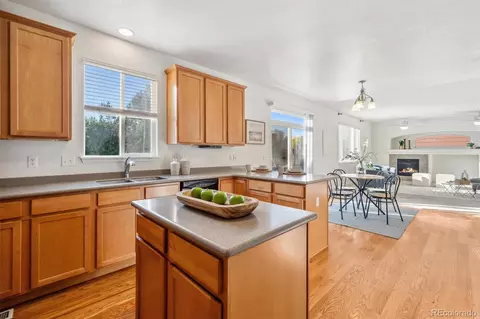 17048 E Trailmaster Dr, Parker, CO 80134 photo 14