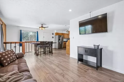 Living - 55 W Crosscut, Bailey, CO 80421 photo 3 of 4