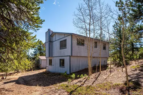 Exterior - 55 W Crosscut, Bailey, CO 80421 photo 9 of 9
