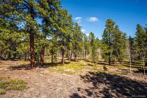 Other - 55 W Crosscut, Bailey, CO 80421 photo 11 of 19