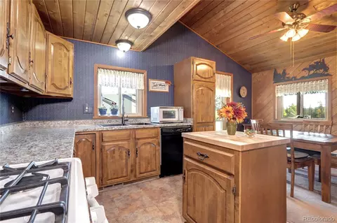 9340 S Warhawk Rd, Conifer, CO 80433 photo 15