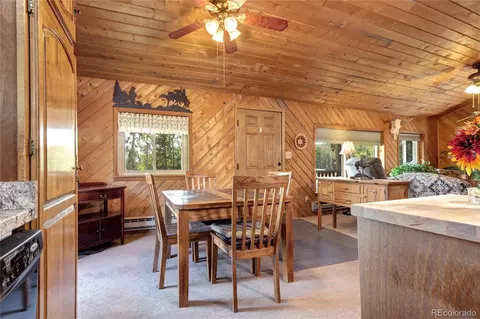 9340 S Warhawk Rd, Conifer, CO 80433 photo 4