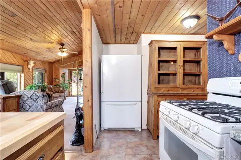 9340 S Warhawk Rd, Conifer, CO 80433 photo 16
