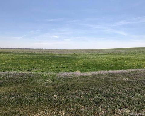 41683 Bijou View St, Agate, CO 80101 photo 4