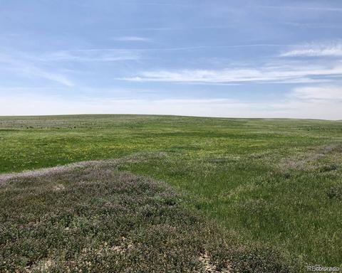 41683 Bijou View St, Agate, CO 80101 photo 2