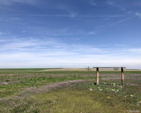 41683 Bijou View St, Agate, CO 80101 photo 6
