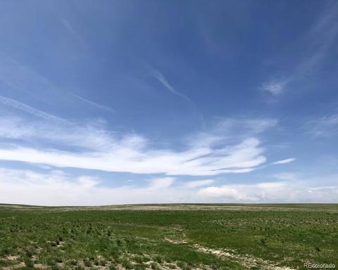 41683 Bijou View St, Agate, CO 80101 photo 9