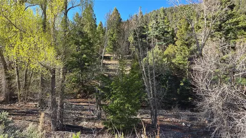 lot5475 Joy Rd, Fort Garland, CO 81133