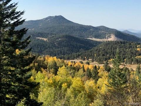 20730 Cedar Dr, Morrison, CO 80465 photo 32