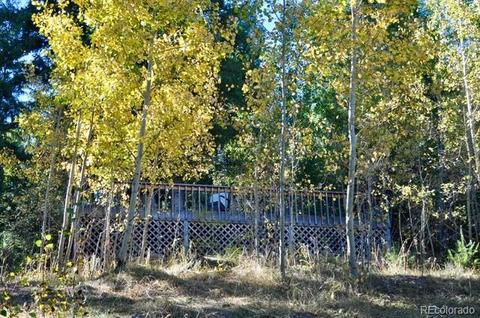 20730 Cedar Dr, Morrison, CO 80465 photo 30