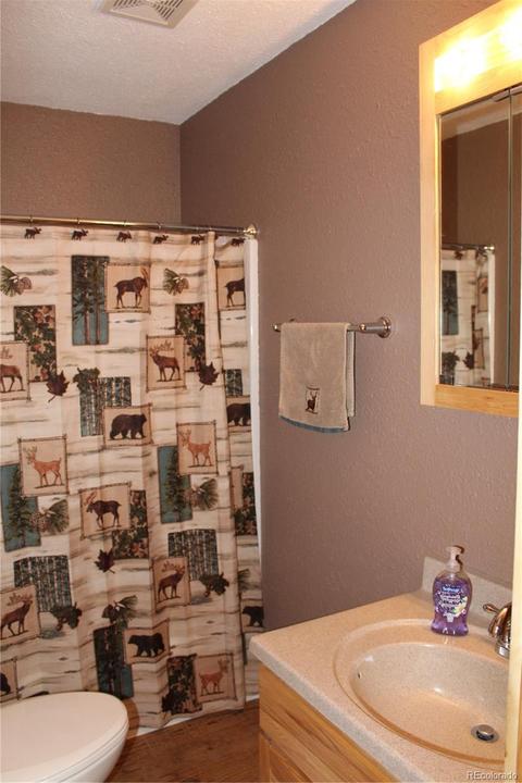 2480 Lope Loop, Westcliffe, CO 81252 photo 16