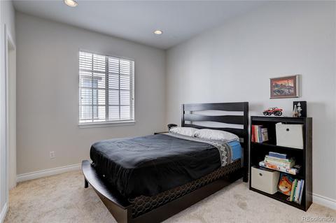 8755 E 29th Pl, Denver, CO 80238 photo 23