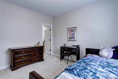 8755 E 29th Pl, Denver, CO 80238 photo 28
