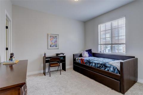 8755 E 29th Pl, Denver, CO 80238 photo 27