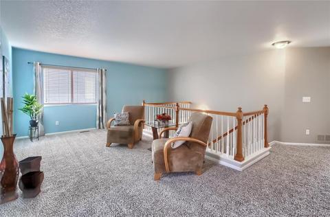 5065 Perth Ct, Denver, CO 80249 photo 16