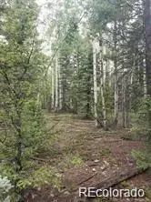 lot4 6 8th St, Jasper, CO 81132