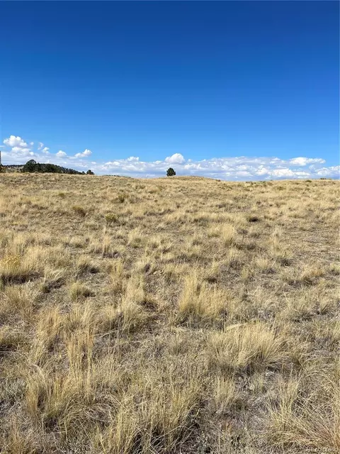309 Castle Mountain Dr, Florissant, CO 80816