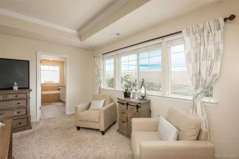5323 E 140th Pl, Thornton, CO 80602 photo 19