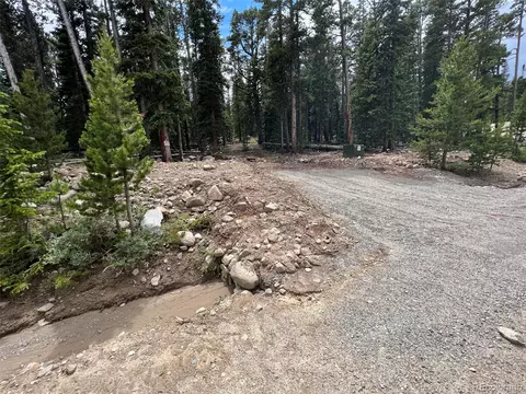 117 Miners Way, Fairplay, CO 80440