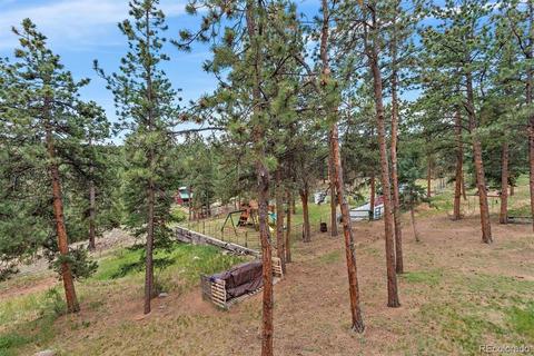 104 Granada Way, Pine, CO 80470 photo 29