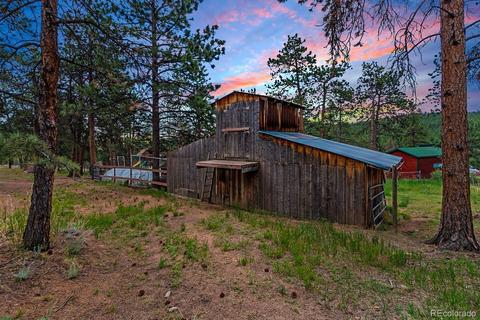 104 Granada Way, Pine, CO 80470 photo 5