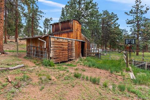 104 Granada Way, Pine, CO 80470 photo 28
