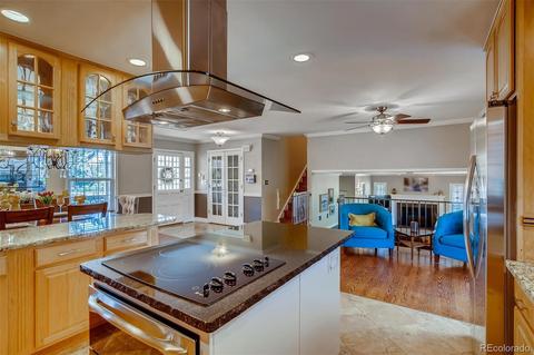 7302 S Ivanhoe Ct, Centennial, CO 80112 photo 9