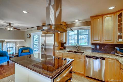 7302 S Ivanhoe Ct, Centennial, CO 80112 photo 8