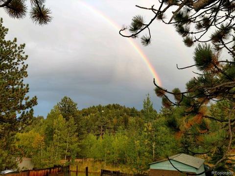 108 Fitzsimmons Rd, Bailey, CO 80421 photo 29