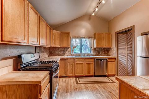108 Fitzsimmons Rd, Bailey, CO 80421 photo 28
