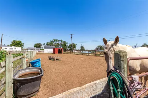 Other - 1622 Elder Ave, Greeley, CO 80631 photo 9 of 10