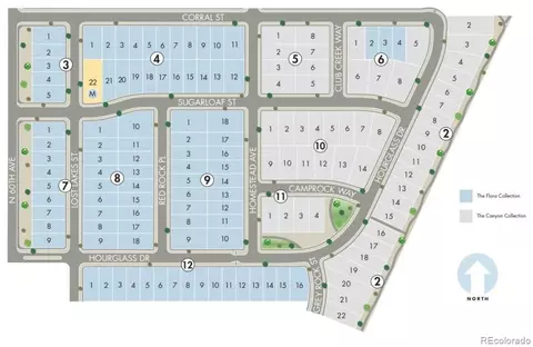 6068 Corral St, Brighton, CO 80601 photo 38