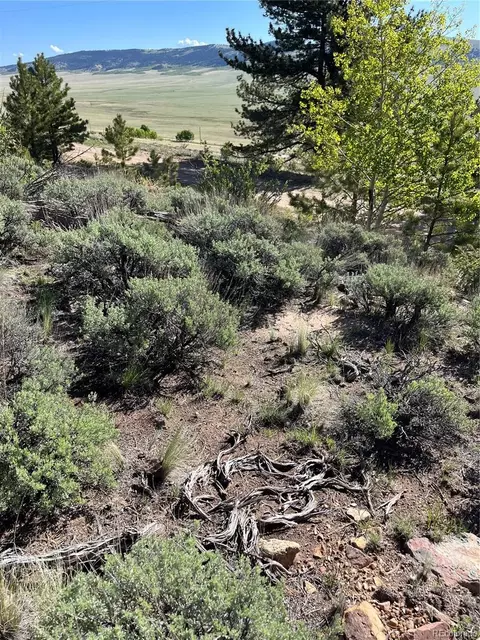 Redhill Court, Fairplay, CO 80440