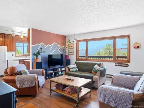 Living - 475 Holmes Gulch Rd, Bailey, CO 80421 photo 3 of 6