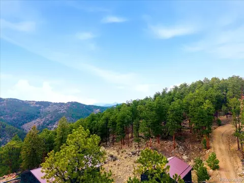 Other - 475 Holmes Gulch Rd, Bailey, CO 80421 photo 8 of 12
