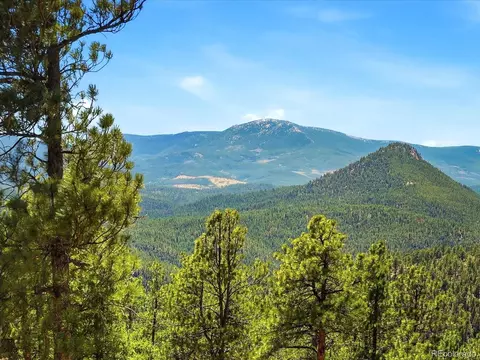 View/Area - 475 Holmes Gulch Rd, Bailey, CO 80421 photo 1 of 2