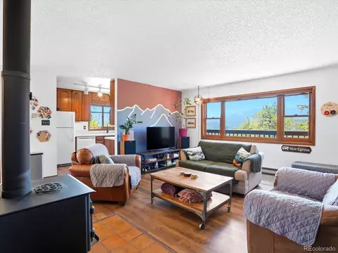 Living - 475 Holmes Gulch Rd, Bailey, CO 80421 photo 2 of 6
