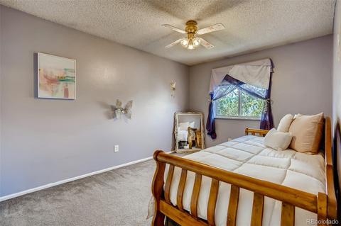5209 E 114th Pl, Thornton, CO 80233 photo 23