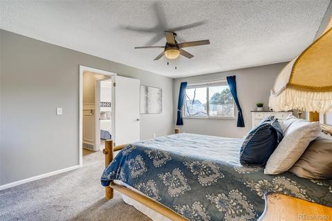 5209 E 114th Pl, Thornton, CO 80233 photo 19