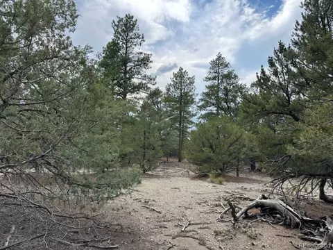 22 Cub Creek Rd, Mosca, CO 81146 photo 6